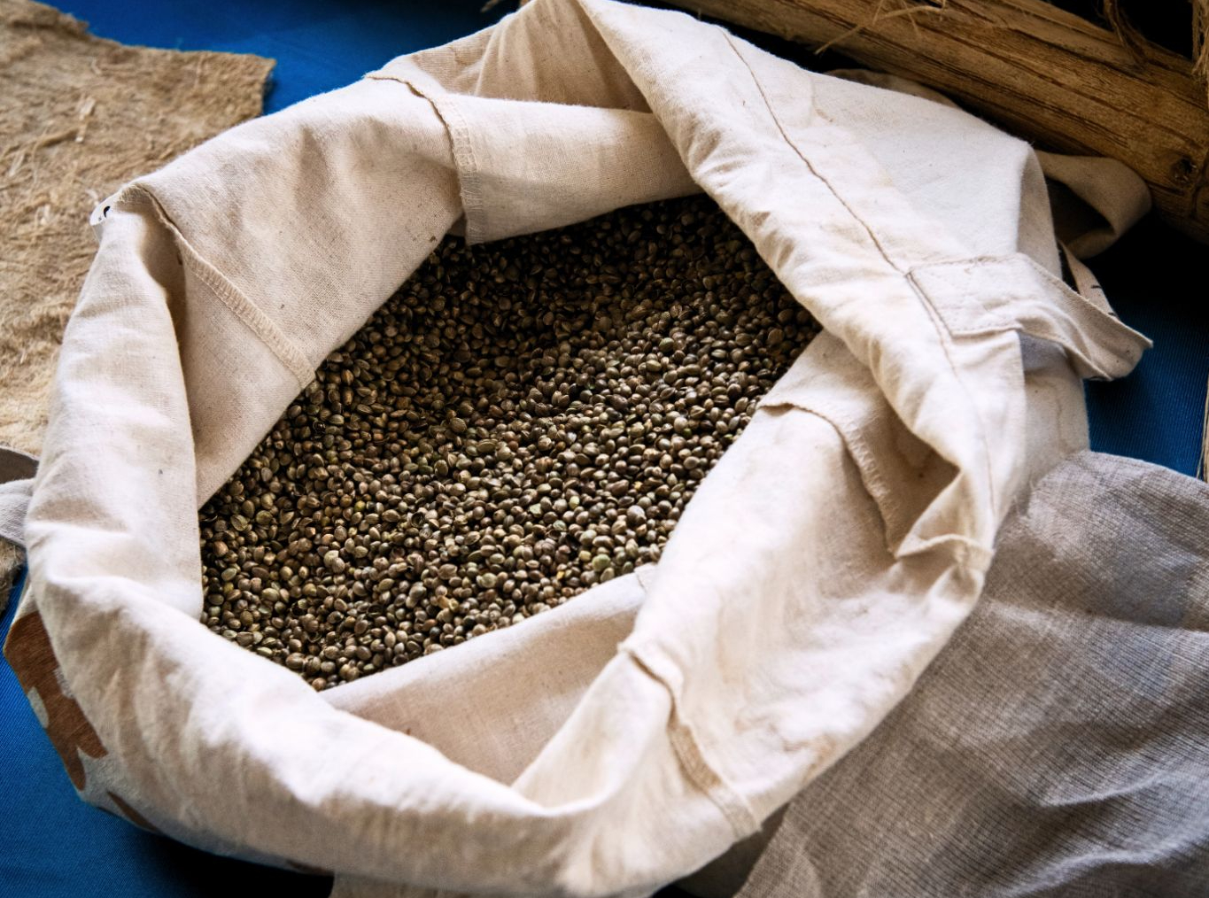 Hemp Food Facts